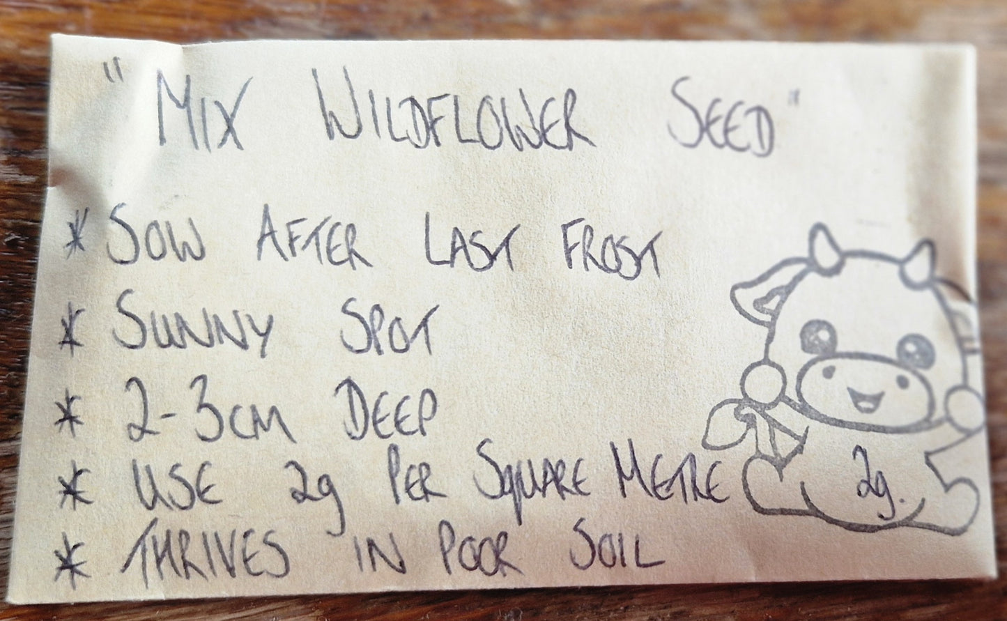 Wildflower Seeds