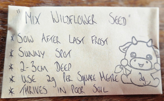 Wildflower Seeds