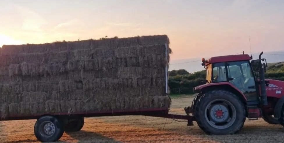 Small Hay Bales
