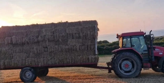 Small Hay Bales